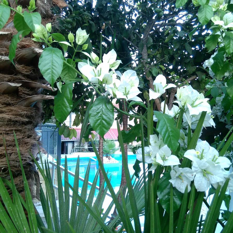Aragorn Paradise Garden Moraítika Eksteriør bilde